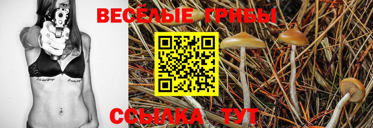 Якутск  Галлюциногенные грибы Psilocybine cubensis  Вход с VPN  закладки  Галлюциногенные грибы Psilocybine cubensis 