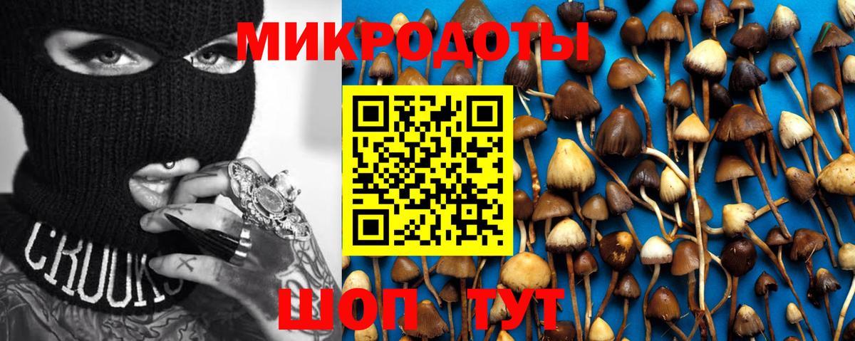 Галлюциногенные грибы мицелий Якутск
